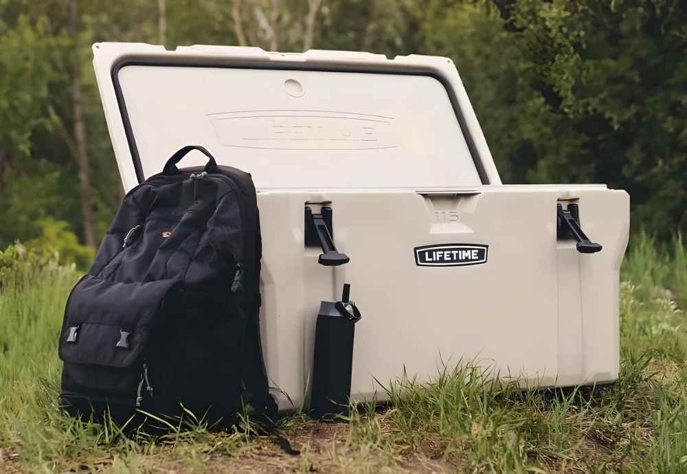 portable ice cream cooler box