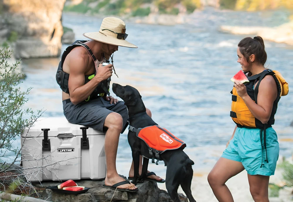 portable ice cream cooler box