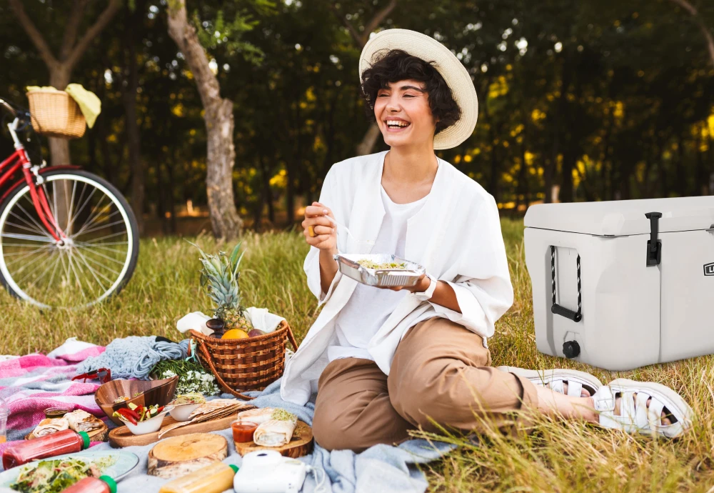 portable ice cream cooler box