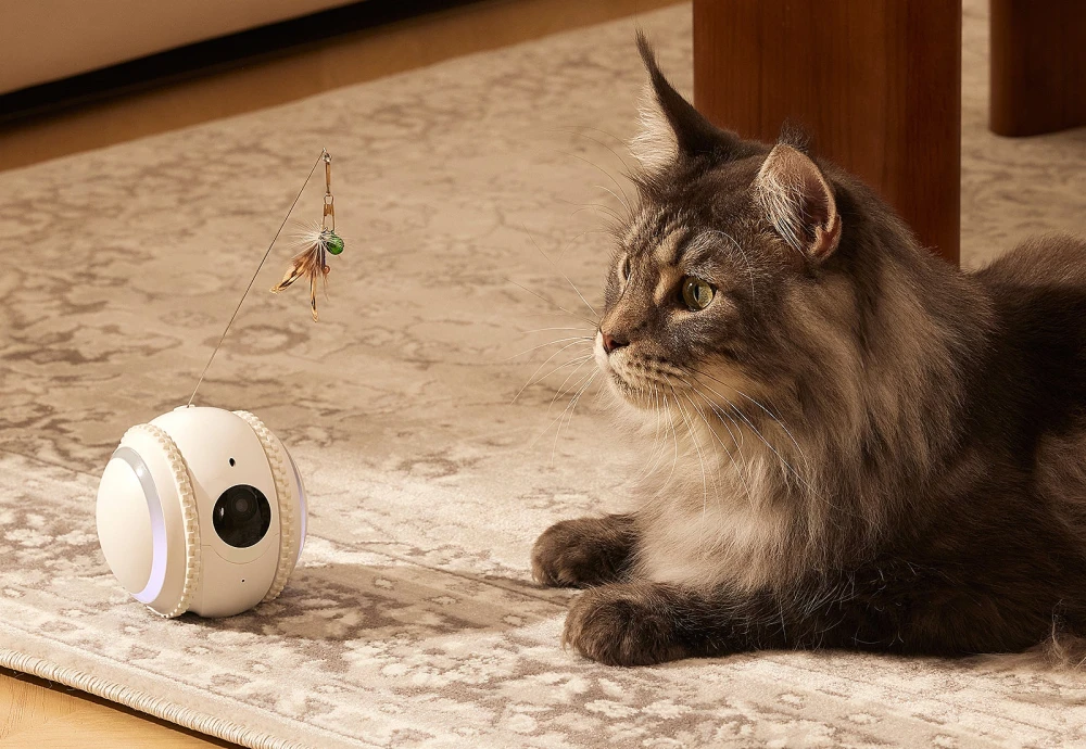 best security camera for pets