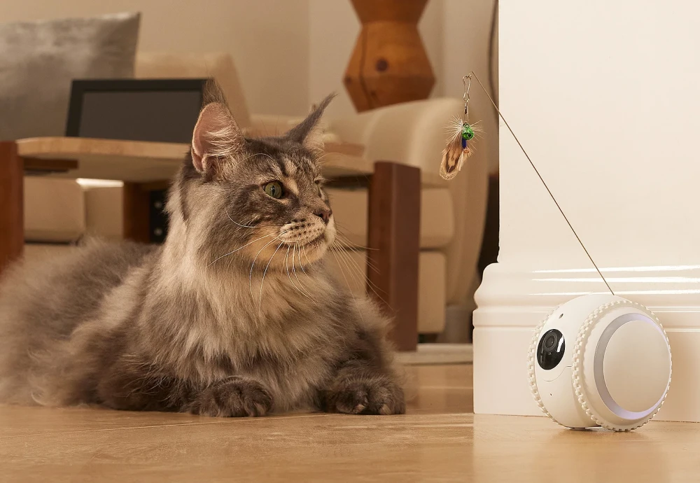 interactive pet camera for cats