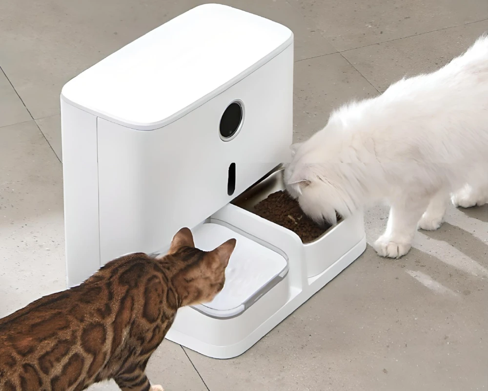 best automatic pet feeder