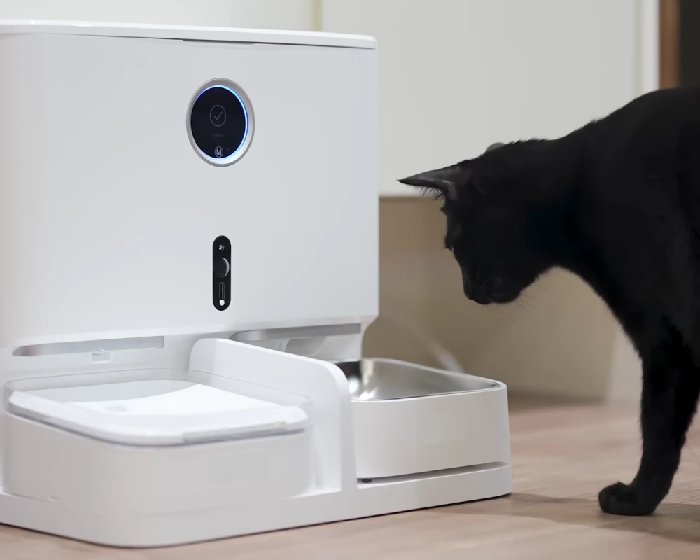 best automatic pet feeder for cats